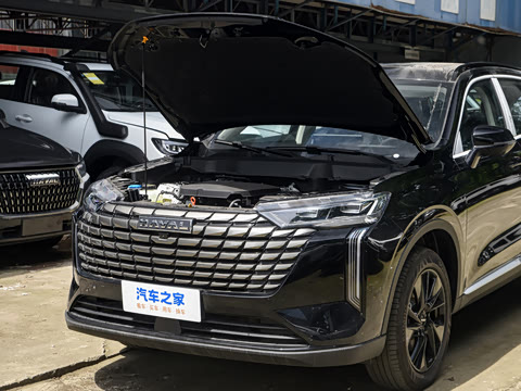 2024�� 2.0T ����Max