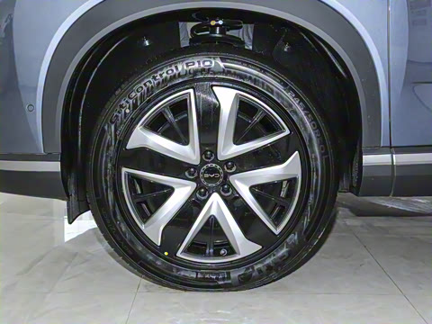 2025�� 150 �캽+��