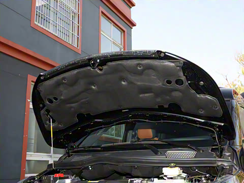 2025�� �������Ȱ�