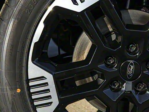 2025�� ������