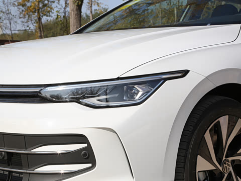 2025�� 300TSI Pro