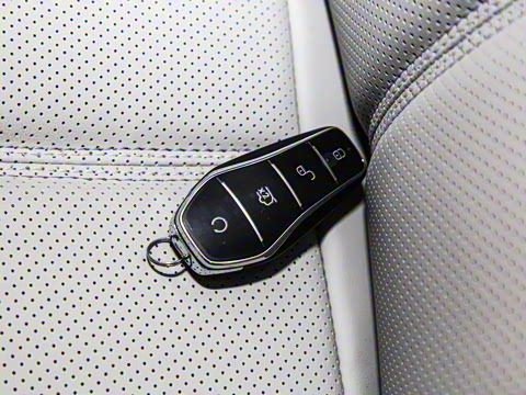 2024�� DM-i 55KM �캽��ҫ��