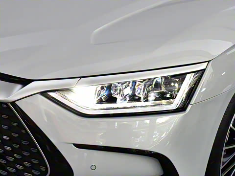 2024�� DM-i ��ҫ�� 121KM ������