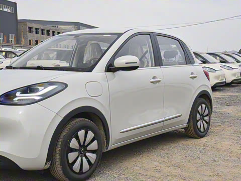 2025�� 333km ������