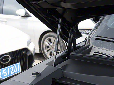 2025�� 115km Pro��