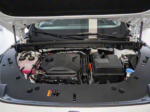 2024�� 135�콢��