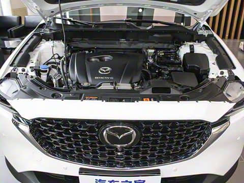 2024�� 2.0L �Զ���������Pro