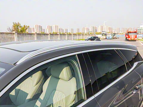 2025�� DM-i 115KM �����