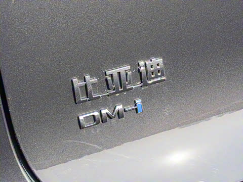 2025�� DM-i 115KM �����