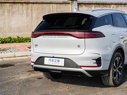 2025�� DM-i 115KM �����