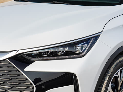 2025�� DM-i 115KM �����