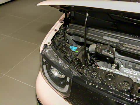 2025�� 205km ʥ����