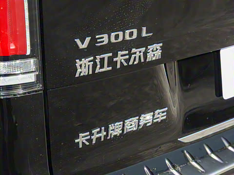 2025�� V 300 L ������˹ �˶���