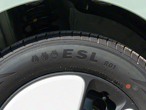 2025�� 205km ���߿�