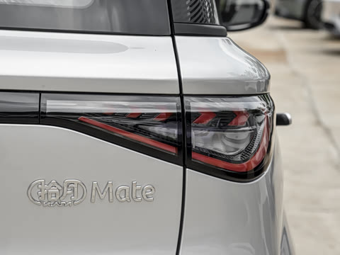 2025�� Mate 300km׷���