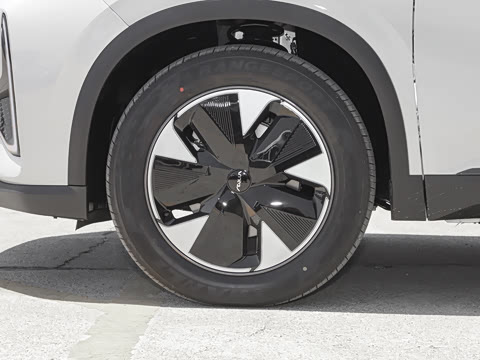 2025�� 205��������������