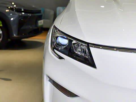 2025�� ��������