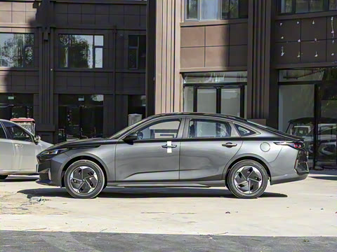 2025�� ����� 145 ������