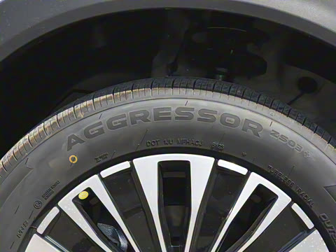 2024�� ������