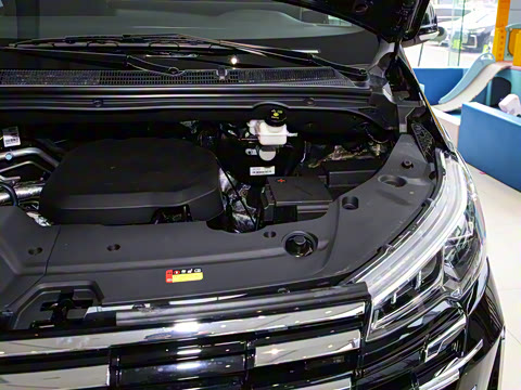 2025�� MAX 2.0T �Զ������� ���� 7��