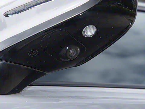 2025�� DM-i 115KM ������