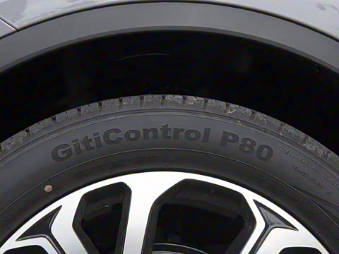 2025�� DM-i 115KM ������