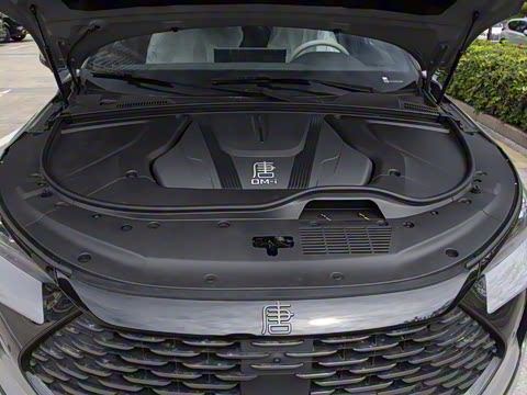 2025�� DM-i 115KM ������