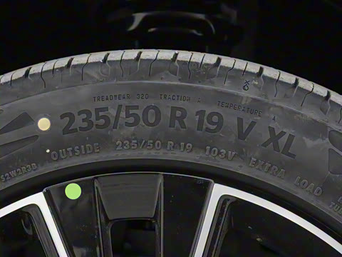 2025�� ������������