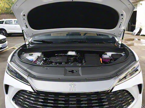 2024�� 75km ������