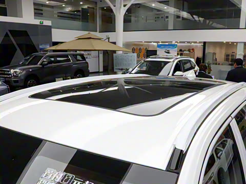 2024�� 2.0T ����Max