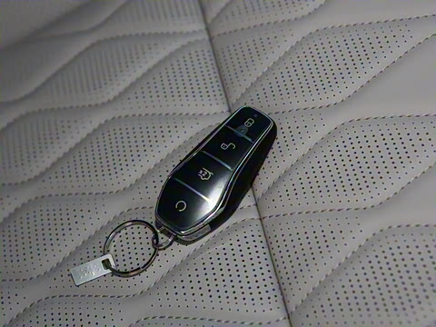 2025�� DM-i 115KM ������