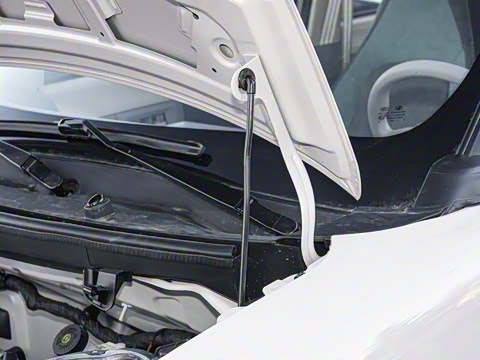 2025�� 205km ��Ȱ�