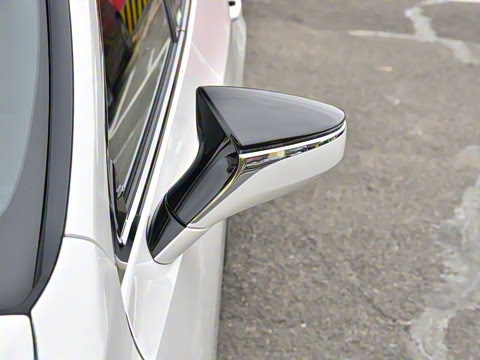 2025�� 300h ������