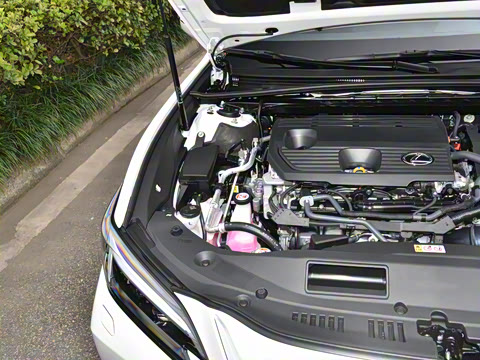 2025�� 300h ������