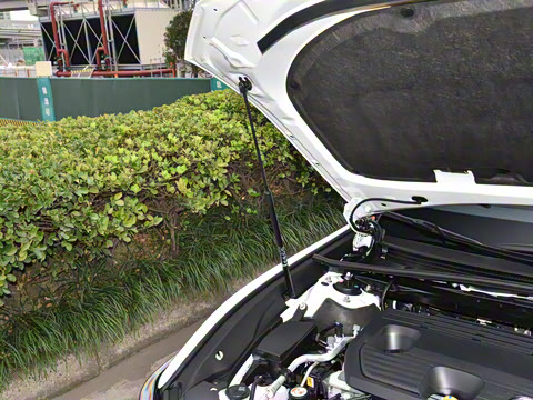 2025�� 300h ������