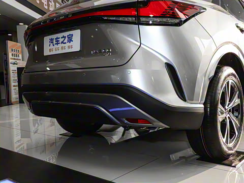 2025�� 300 ����������