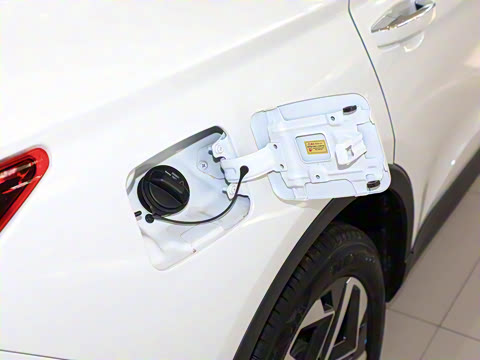 2024�� 2.0TGDI ׿Խ�� 7��