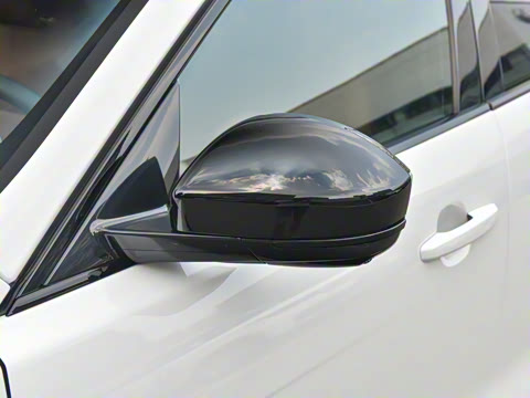 2025�� P250 R-Dynamic SE