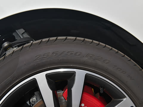 2025�� P250 R-Dynamic SE