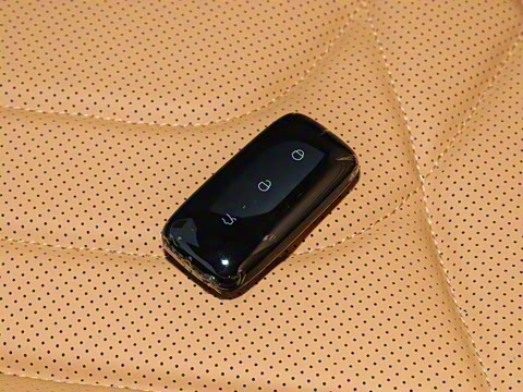 2025�� 55km ̽����