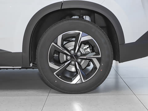 2025�� 430������