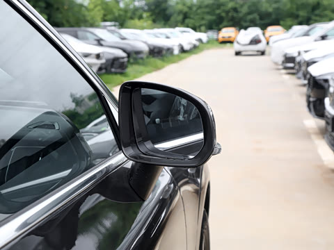 2025�� B5 �������ݺ�����