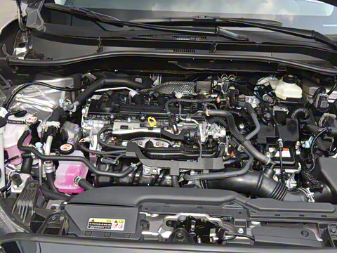 2024�� 2.0L ���ܵ��˫�� ��Ӣ��