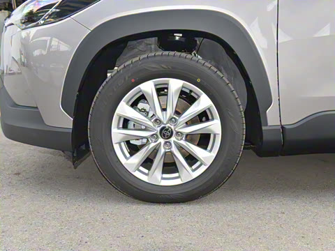 2024�� 2.0L ���ܵ��˫�� ��Ӣ��