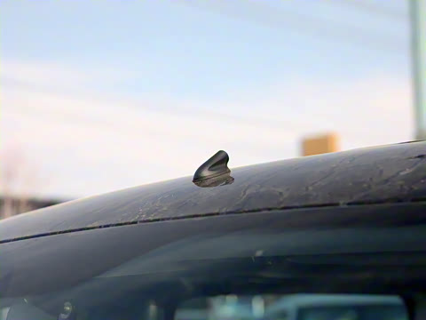 2025�� 1.8L �ֶ����ʰ� 7/8��