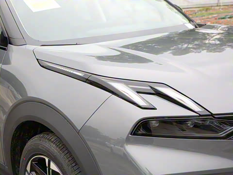 2025�� EM-P 126������Max