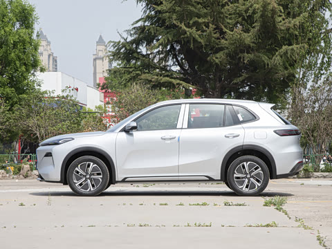 2025�� 55km ������