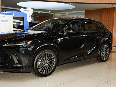 2025�� 350h ����������