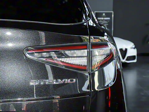 2024�� 2.0T 280HP Dragon Edition �����޶���