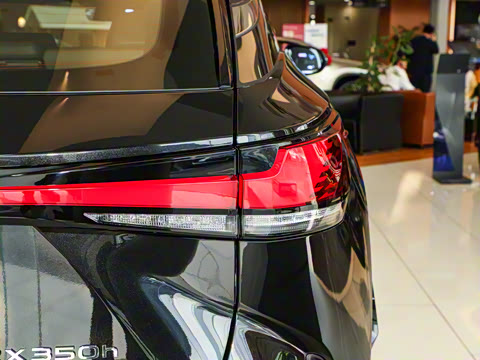 2025�� 350h ����������